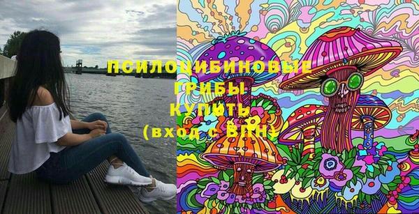 мяу мяу мука Краснослободск